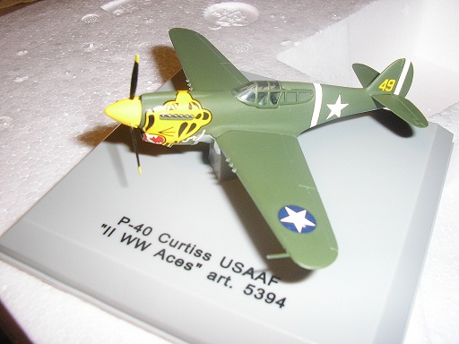 P-40 Curtiss USAAF (5394) - Click Image to Close